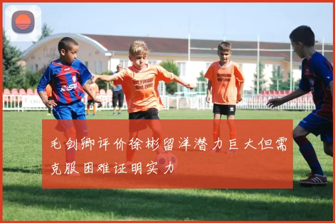 毛剑卿评价徐彬留洋潜力巨大但需克服困难证明实力